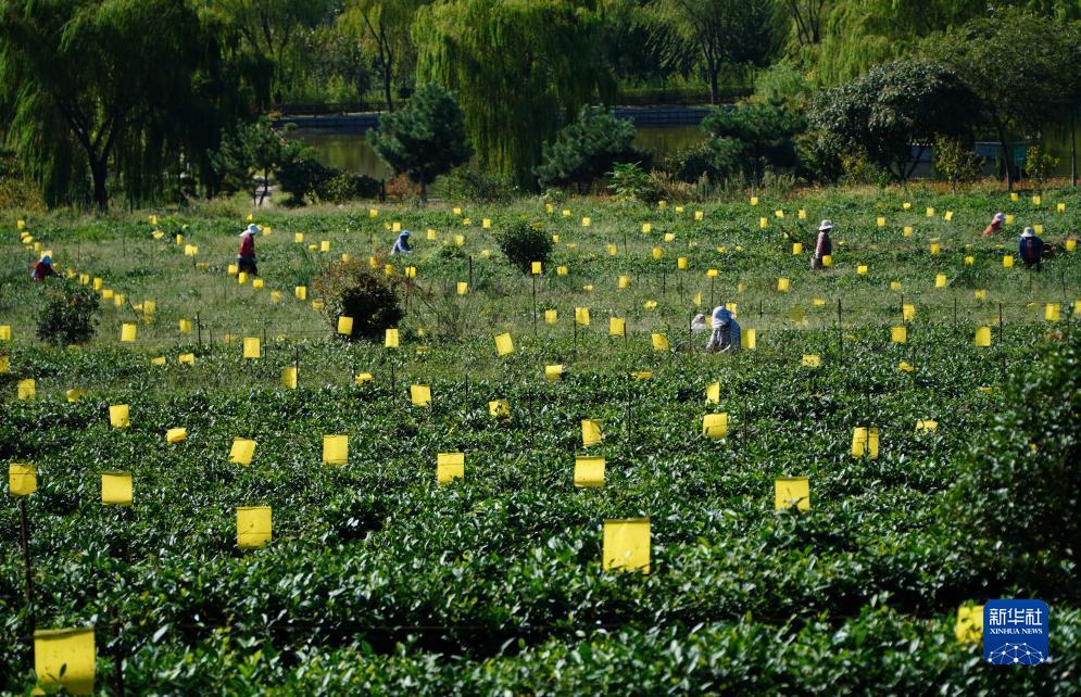 博悦网络测试